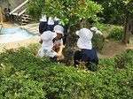 IMG_4984.jpg