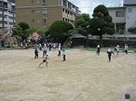 IMG_4990.jpg
