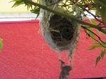 IMG_5167.jpg