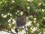 IMG_5169.jpg