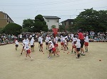 IMG_5181.jpg