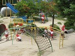IMG_5225.jpg