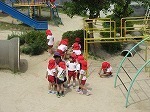 IMG_5226.jpg