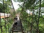 IMG_5369.jpg