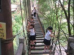 IMG_5376.jpg