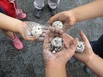 IMG_5437.jpg