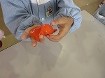 IMG_5558.jpg