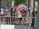 IMG_5782.jpg
