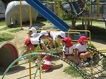 IMG_5784.jpg