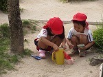 IMG_5867.jpg