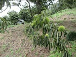 IMG_5911.jpg