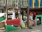 IMG_5925.jpg