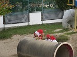 IMG_5950.jpg