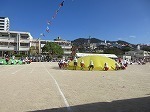 IMG_5961.jpg