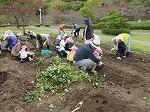 IMG_6157.jpg