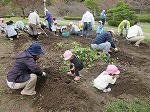 IMG_6164.jpg