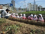 IMG_6227.jpg