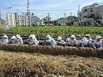 IMG_6229.jpg