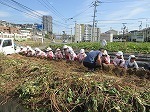 IMG_6240.jpg