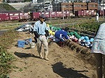 IMG_6256.jpg