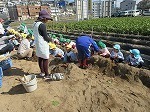 IMG_6260.jpg