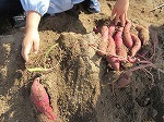 IMG_6264.jpg