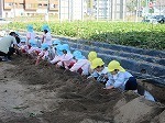 IMG_6267.jpg