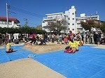 IMG_6313.jpg