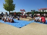 IMG_6322.jpg