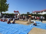 IMG_6337.jpg