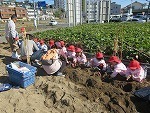IMG_6351.jpg
