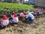 IMG_6352.jpg