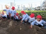 IMG_6354.jpg