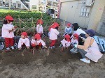 IMG_6355.jpg