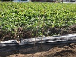 IMG_6359.jpg