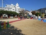 IMG_6452.jpg