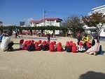 IMG_6461.jpg