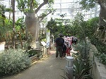 IMG_6495.jpg