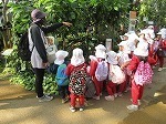 IMG_6507.jpg