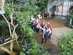 IMG_6513.jpg