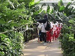 IMG_6514.jpg