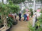IMG_6515.jpg