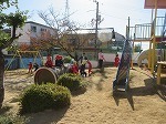 IMG_6598.jpg