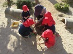 IMG_6600.jpg