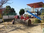 IMG_6602.jpg