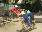 IMG_6814.jpg