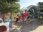 IMG_6831.jpg
