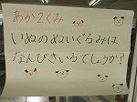 IMG_6837.jpg