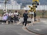 IMG_6945.jpg