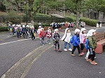 IMG_7369.jpg